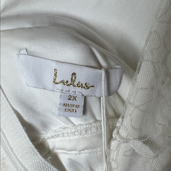 Lulus Ivory Sweetest Beloved Mesh Embroidered
Sleeveless Maxi Wedding Dress 2X - Picture 5 of 11